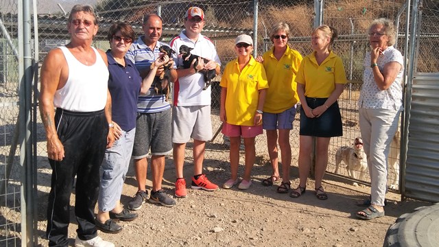 Afemac colabora con Santolina Animal Santuario para mejorar las condiciones de vida de perros abandonados 