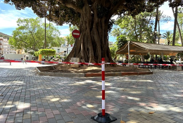 El Ayuntamiento de Águilas procede al balizado de grandes árboles ante las fuertes rachas de viento