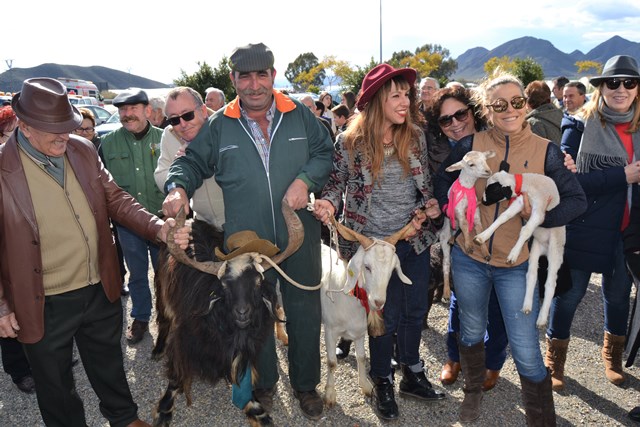 La pedanía aguileña de Tébar celebra su tradicional fiesta en honor a San Antón Abad