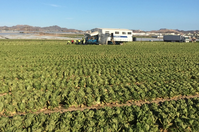 Los agricultores afectados por la sequía podrán beneficiarse de un paquete de apoyos en los ámbitos fiscal, laboral, financiero e hidráulico