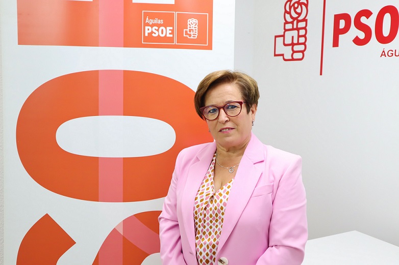 Gallego: “No se nos puede responsabilizar de no subsanar en el CAI Teresa Rabal unas deficiencias que el Gobierno Regional aún no ha comunicado al Ayuntamiento”