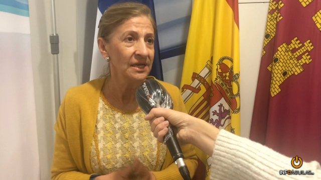 La edil de Sanidad alerta de que “una persona con problemas de salud mental no puede esperar casi un mes para una primera sesión”