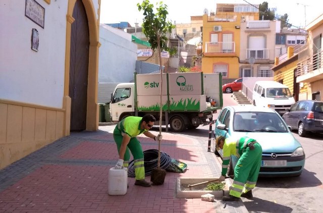 Moreras, naranjos y plantas arbustivas darán una renovada imagen a distintas calles de Águilas 