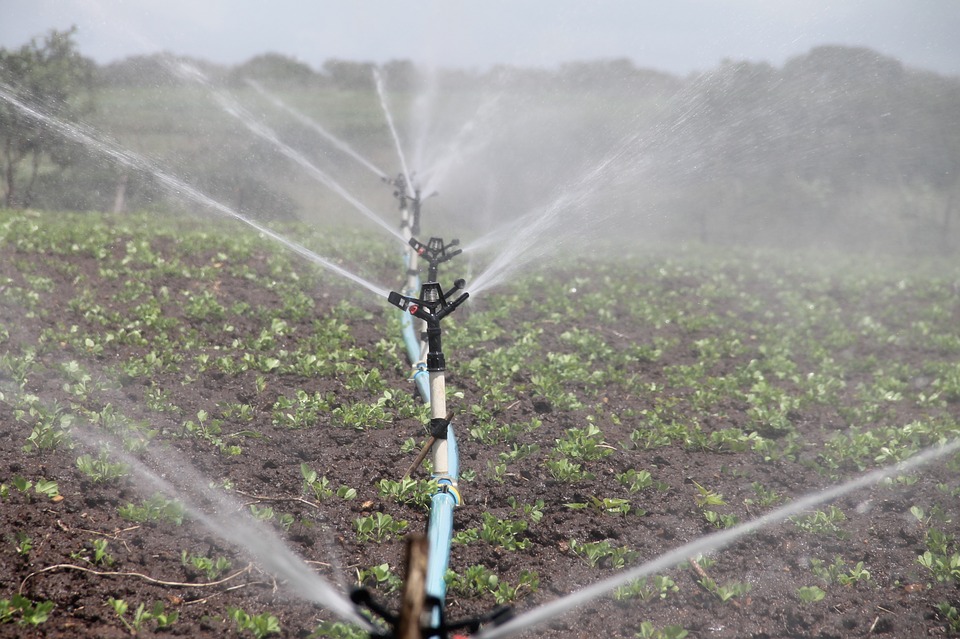 El PP presenta a Pleno una propuesta para que Águilas pueda recibir aportes de agua de otras cuencas en el marco del Pacto Nacional del Agua 