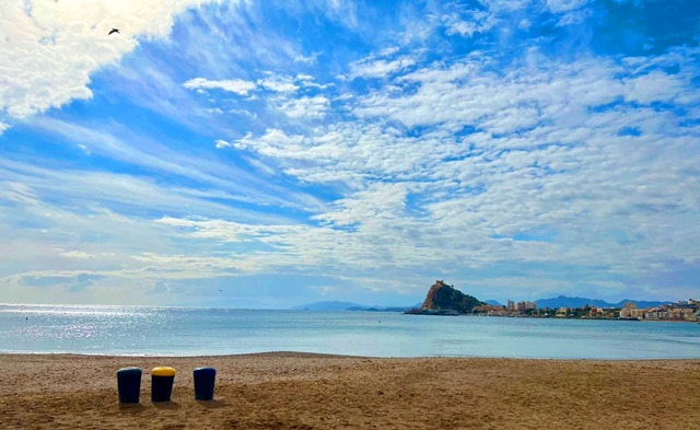 El próximo domingo tendrá lugar una jornada de limpieza de playas enmarcada en el proyecto “Biodiversidad Marina”