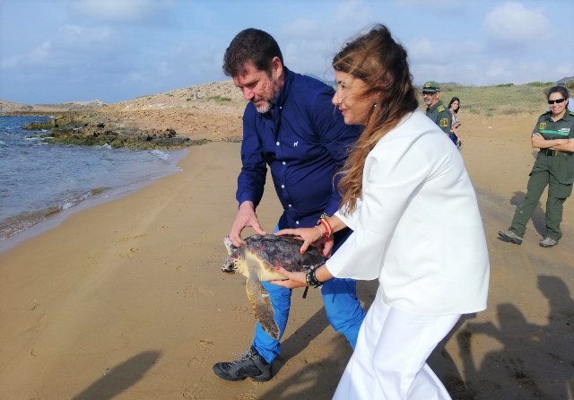 Liberado el ejemplar de tortuga boba que fue hallado este verano en Águilas con una fractura en el cráneo 